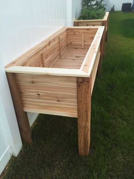 14 Smart Raised Garden Beds Layouts for Optimal Vegetable Growth - Vertical Support: Trellised Gardens