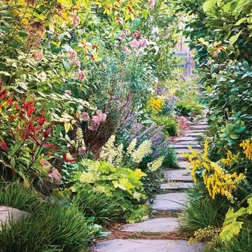 14 Tips for Planting Sustainably in May: Veggies, Plants & Flowers - 10. Creating a Wildlife-Friendly Habitat
