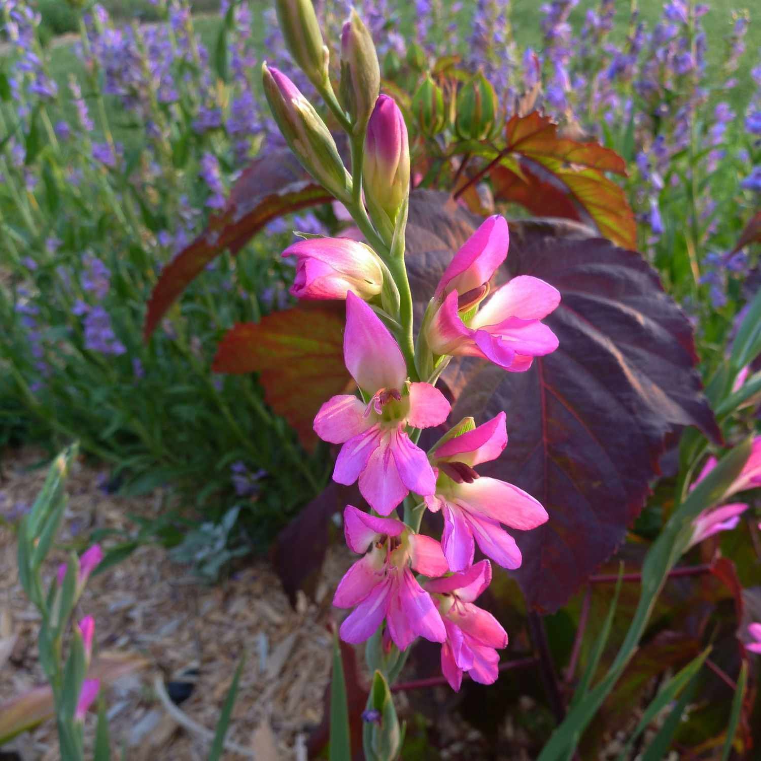 14 Tips for Planting Sustainably in May: Veggies, Plants & Flowers - 11. Designing with Color and Texture