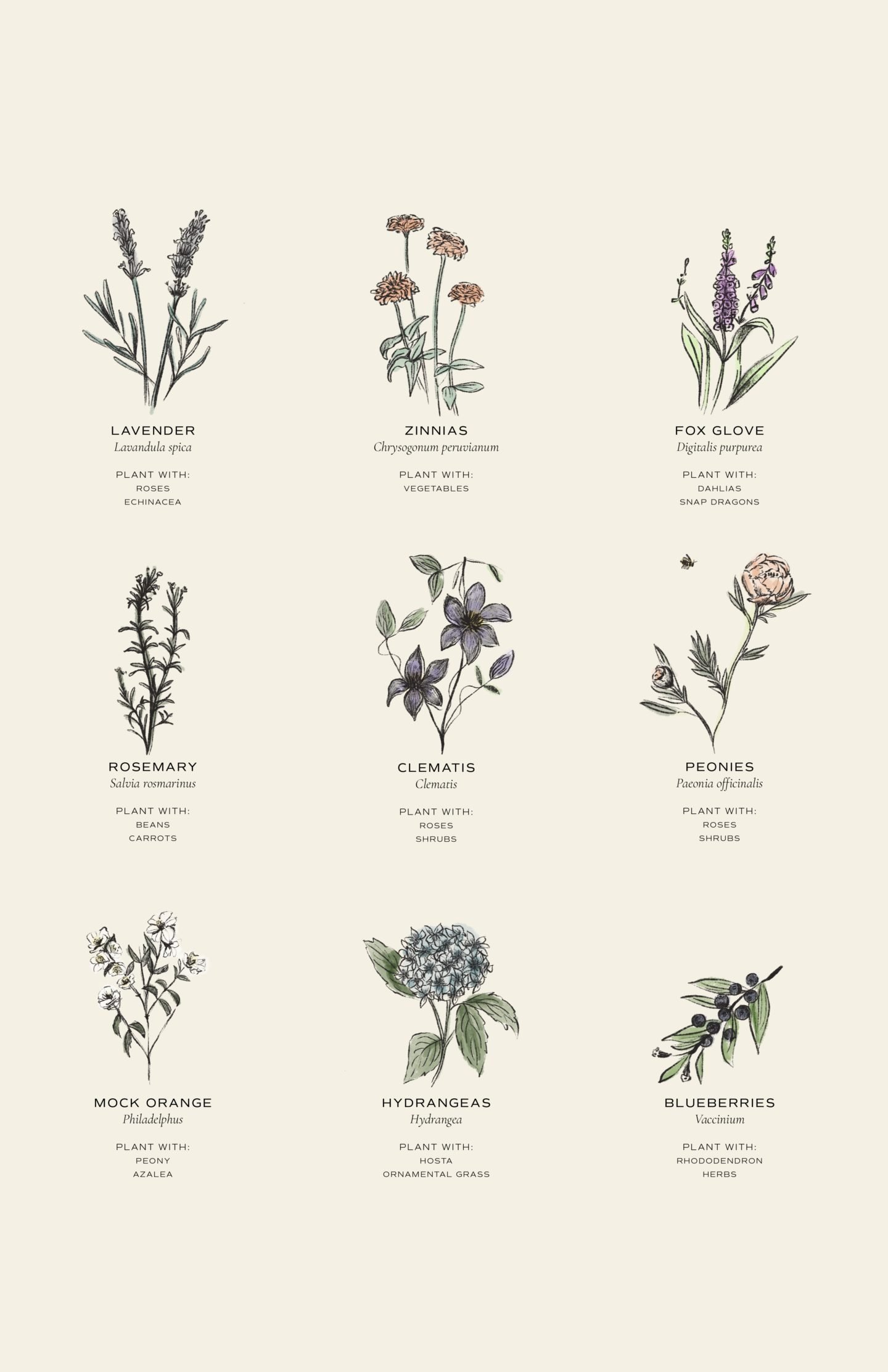 14 Tips for Planting Sustainably in May: Veggies, Plants & Flowers - 12. The Joy of Community Gardening