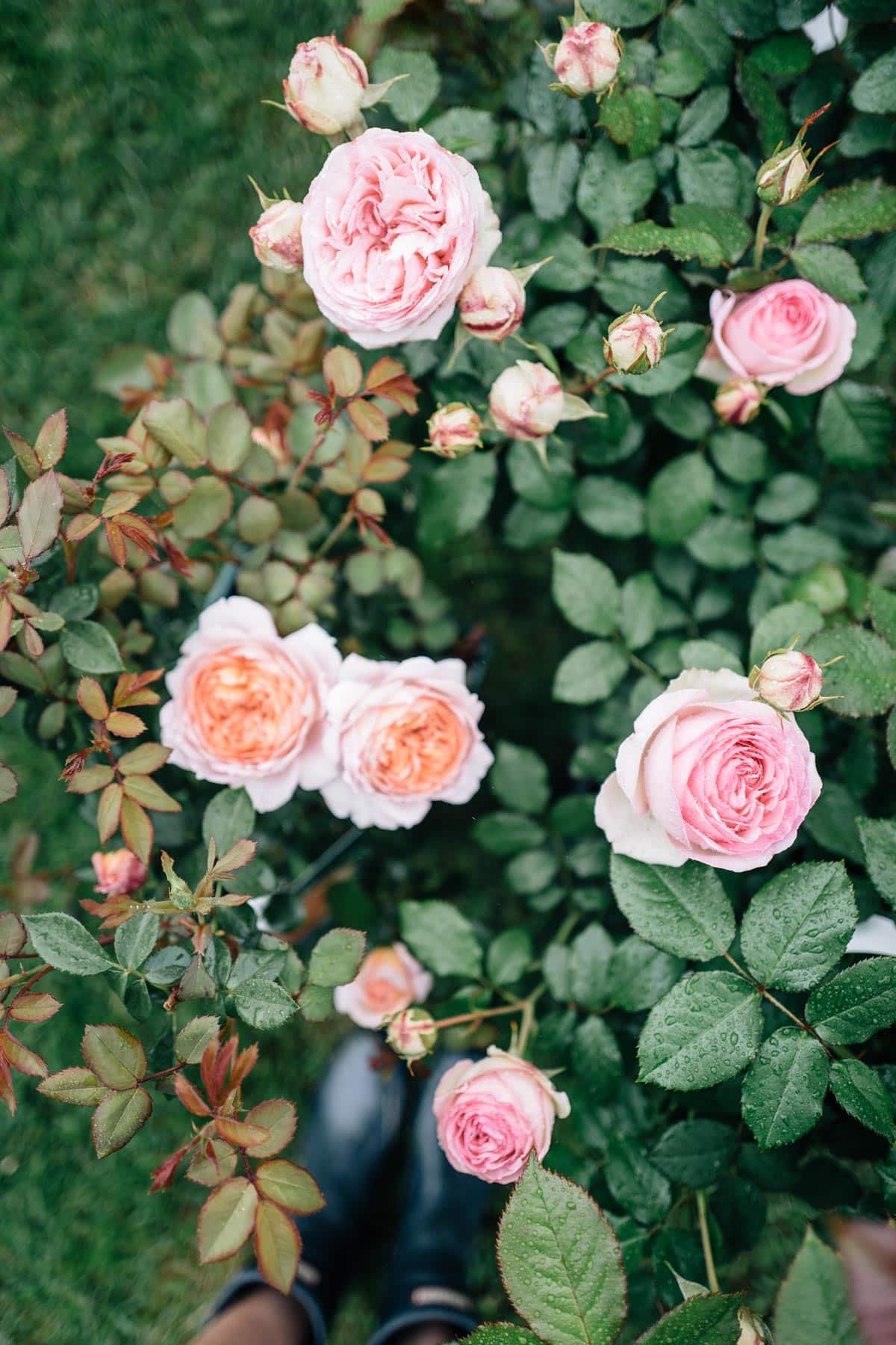 14 Tips for Planting Sustainably in May: Veggies, Plants & Flowers - 13. The Importance of Soil Testing