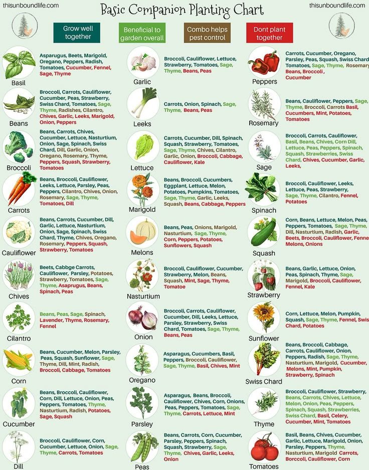 14 Tips for Planting Sustainably in May: Veggies, Plants & Flowers - 4. Sustainable Water Practices