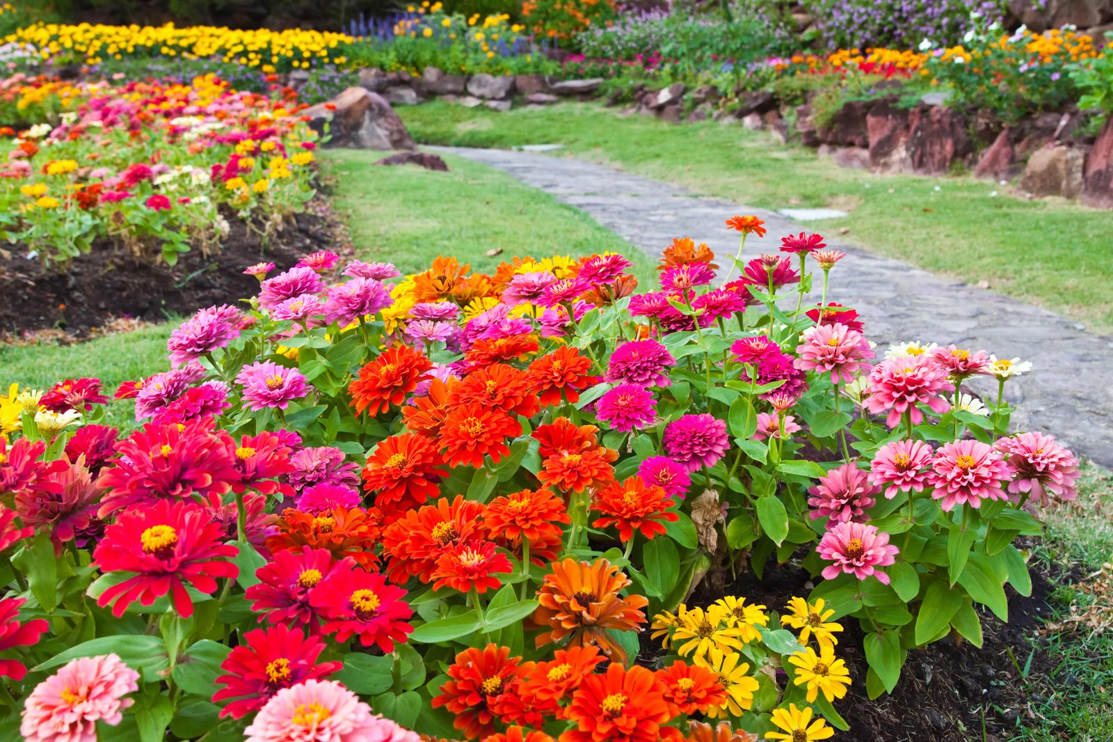 14 Tips for Planting Sustainably in May: Veggies, Plants & Flowers - 7. Eco-Friendly Pest Control Solutions