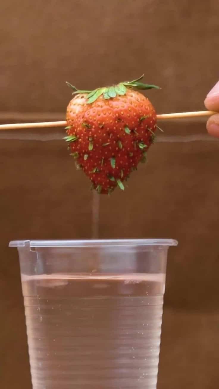 15 Genius Strawberry Hacks You’ll Wish You Knew Sooner - 14. Strawberry Planting Techniques