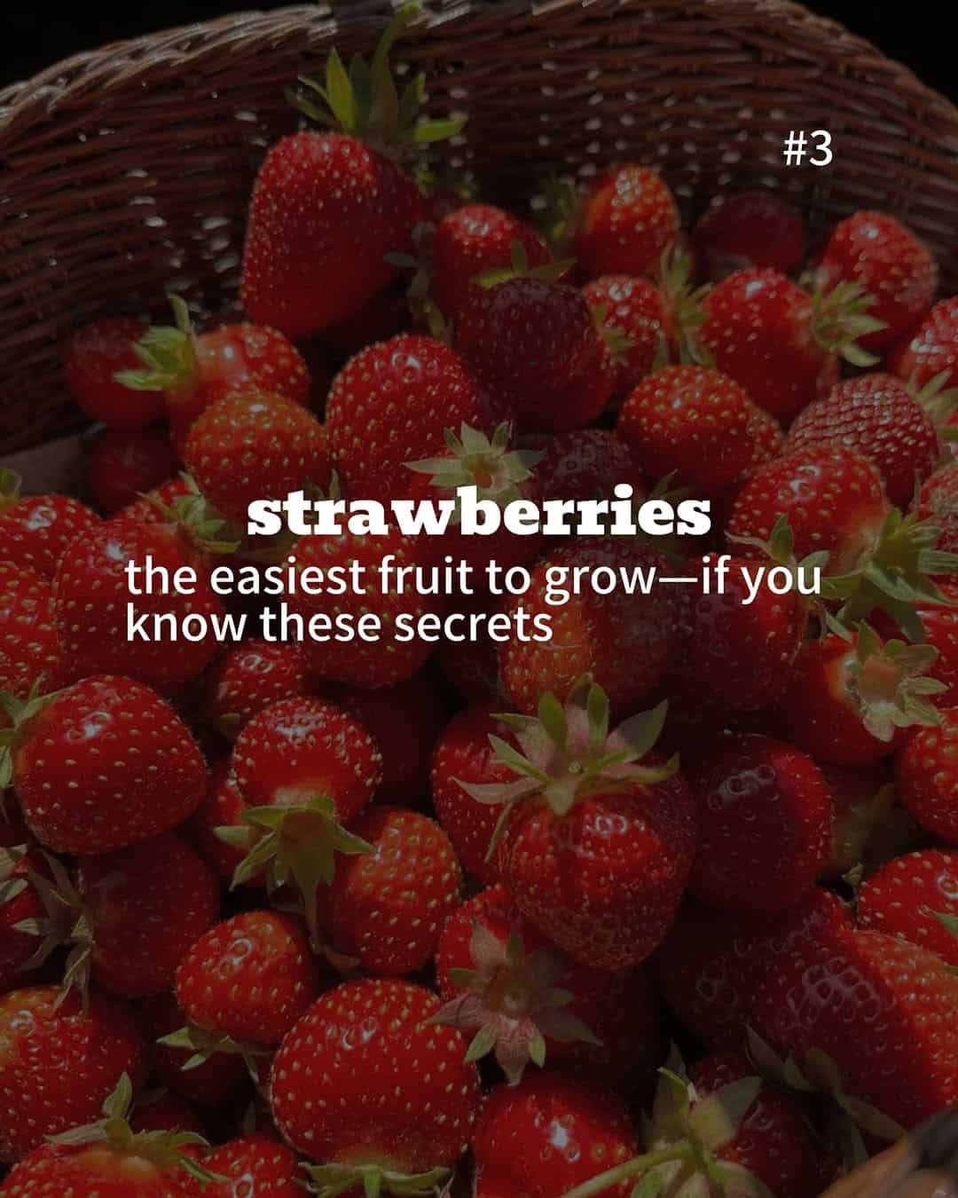 15 Genius Strawberry Hacks You’ll Wish You Knew Sooner - 7. Efficient Stem Removal