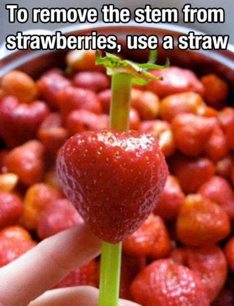 15 Genius Strawberry Hacks You’ll Wish You Knew Sooner - 9. Growing Strawberries in Pots