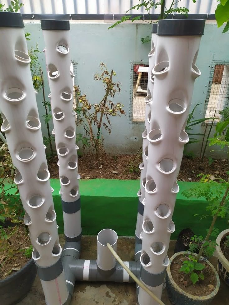 How to Start Hydroponic Gardening: Easy Tips for Newbies - 4. Monitor pH and Nutrient Levels
