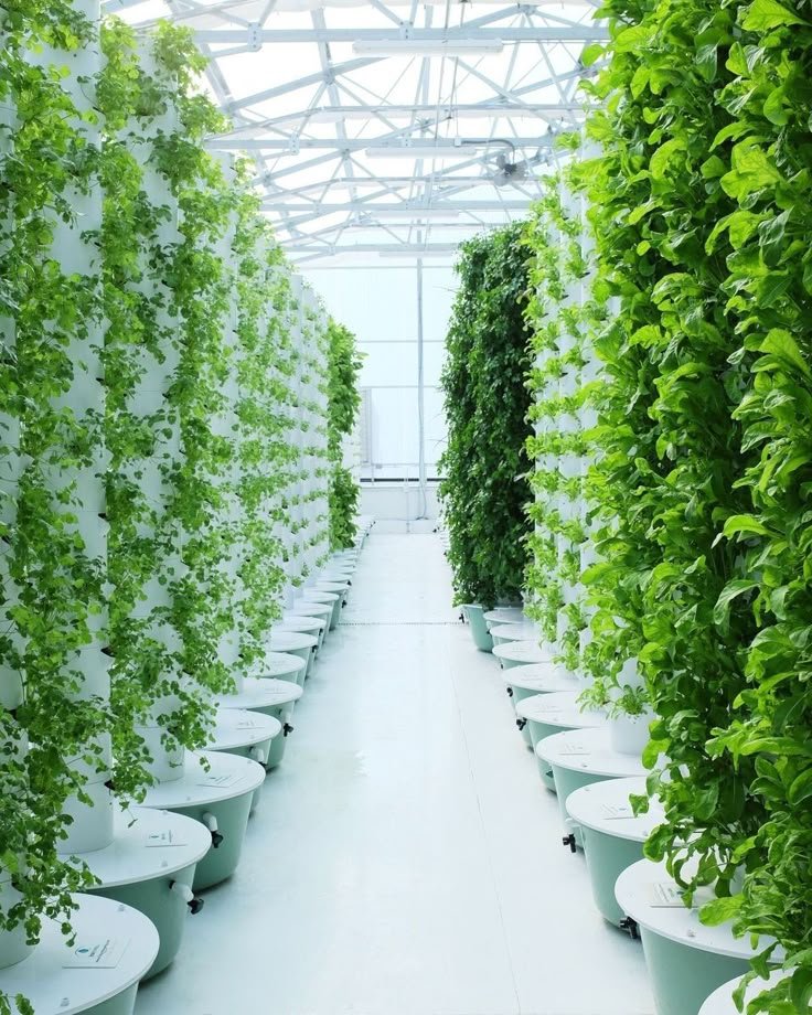 How to Start Hydroponic Gardening: Easy Tips for Newbies - 3. Ensure Proper Lighting