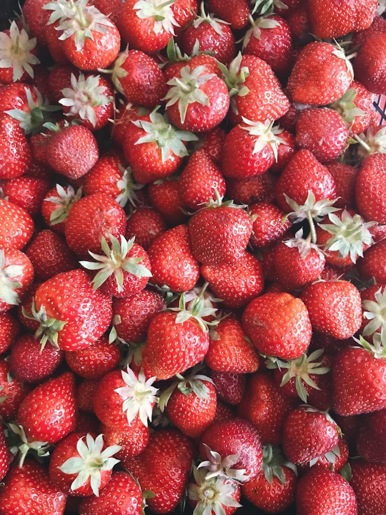 A vibrant close-up of fresh, juicy red strawberries with green leaves.