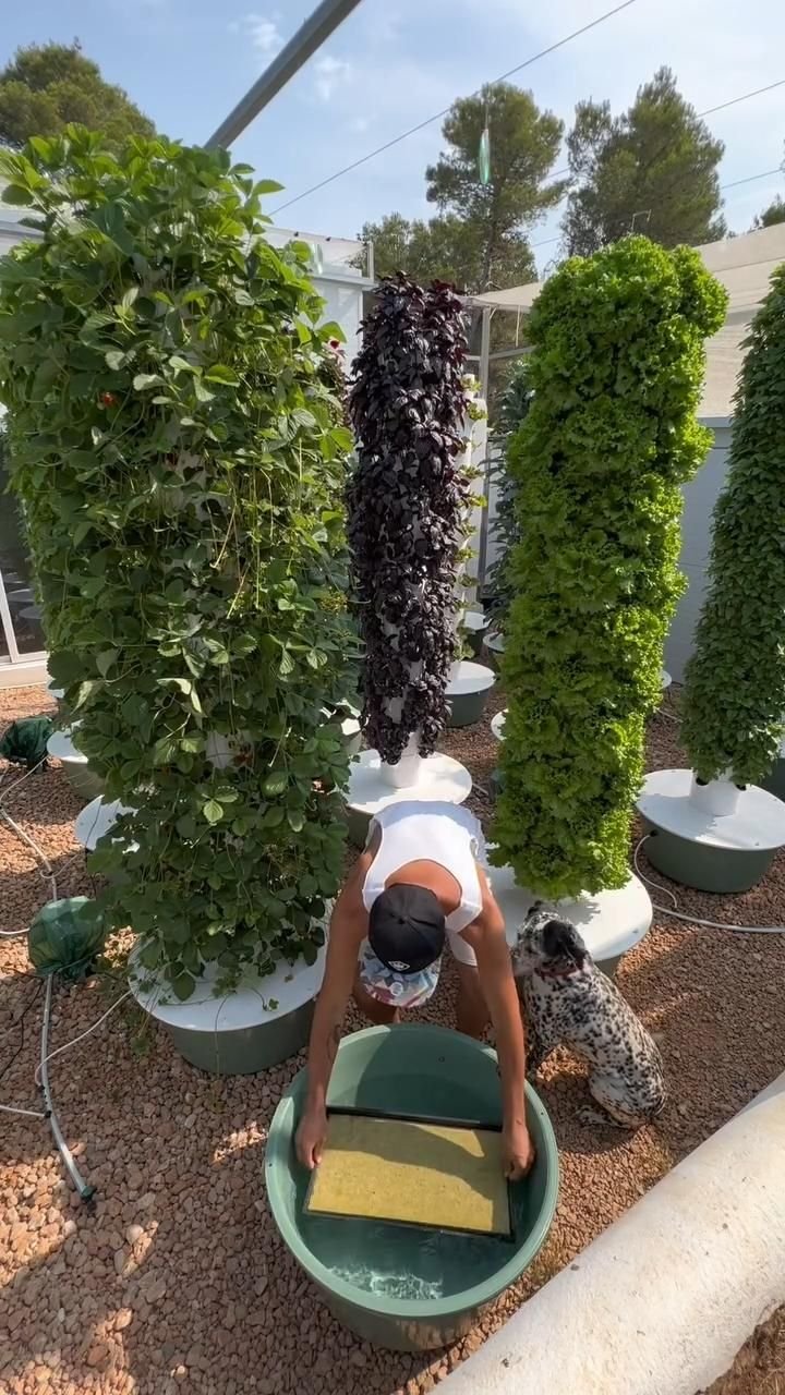 How to Start Hydroponic Gardening: Easy Tips for Newbies - 8. Connect with the Hydroponic Community