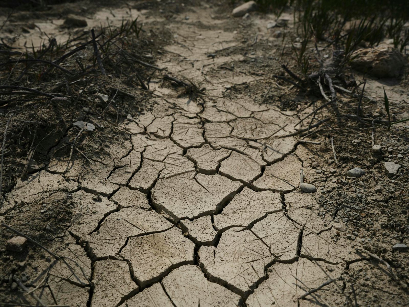 Detailed close-up of cracked, dried earth depicting drought and climate change effects.