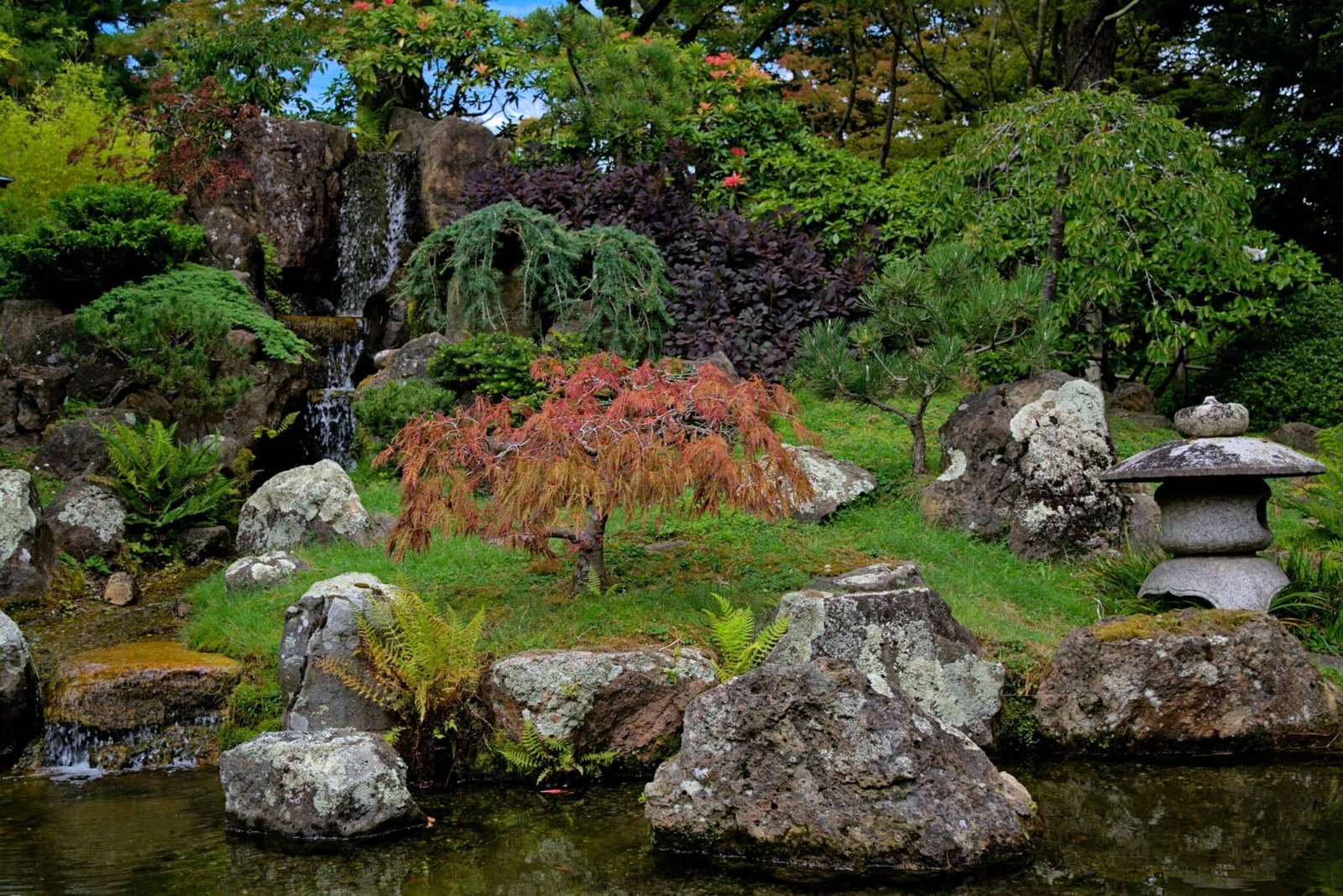 16 Stunning Flower Ideas for Rock Garden Landscaping