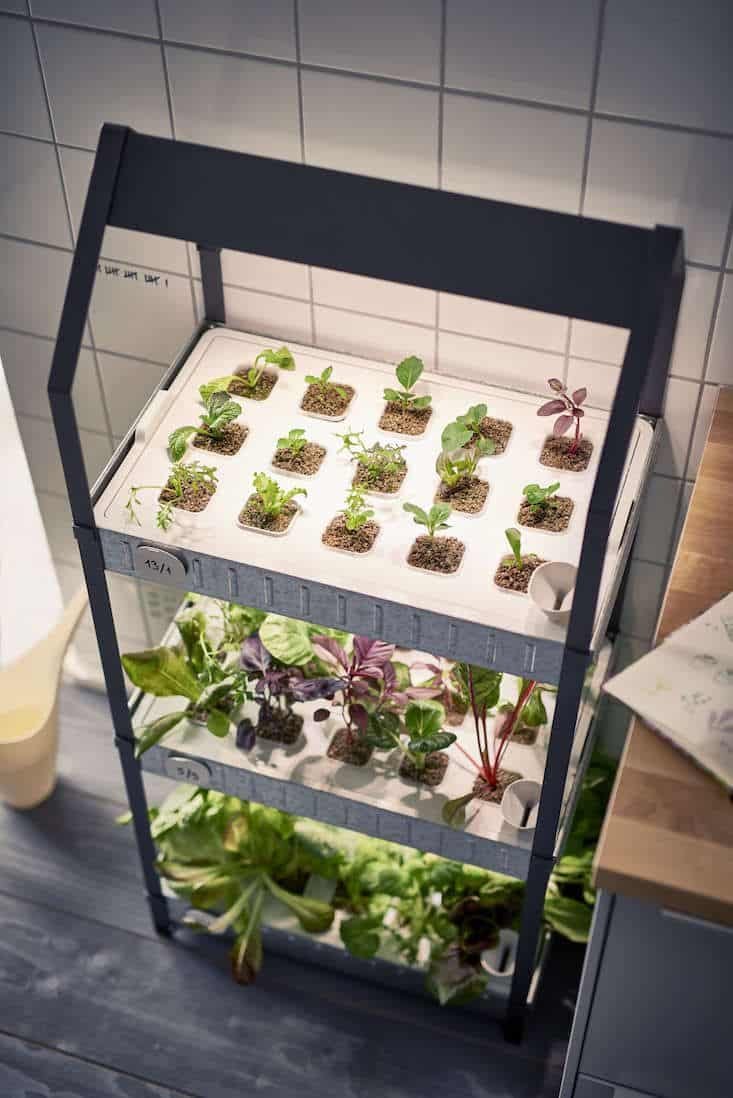 How to Start Hydroponic Gardening: Easy Tips for Newbies - 7. Be Patient and Observe