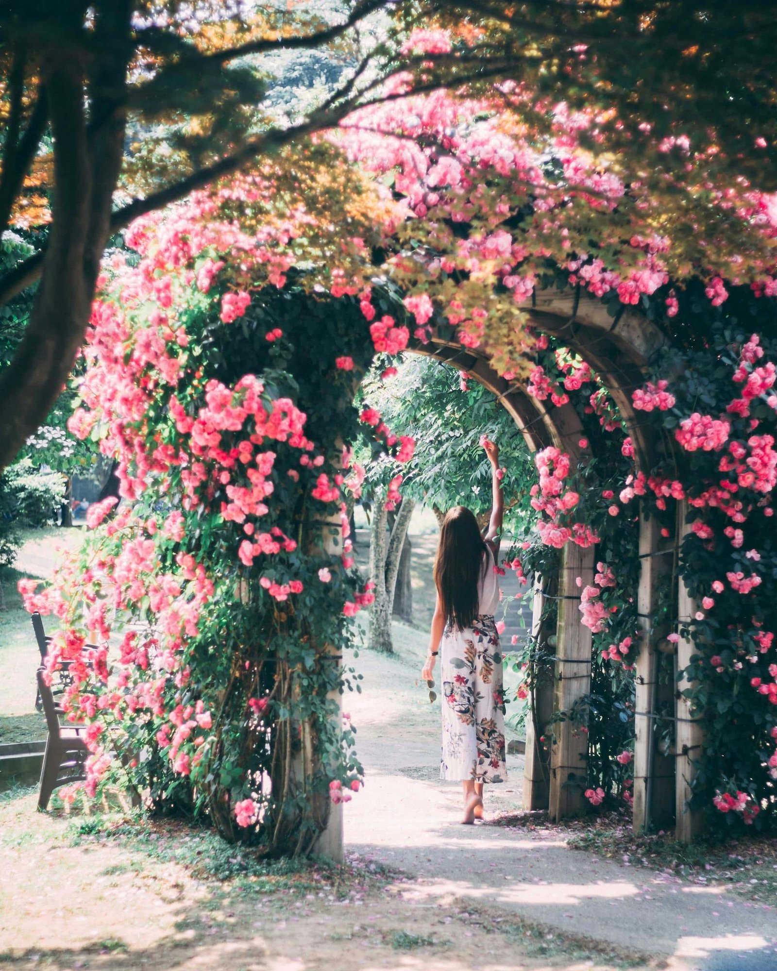 Woman walking through vibrant pink flower arch in a lush garden setting.