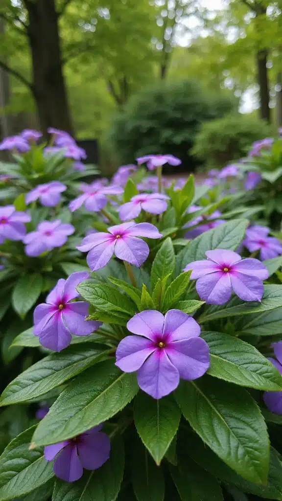 20 Best Perennial Plants for Shade – Perfect for the Busy Gardener! - 15. Periwinkle (Vinca minor)