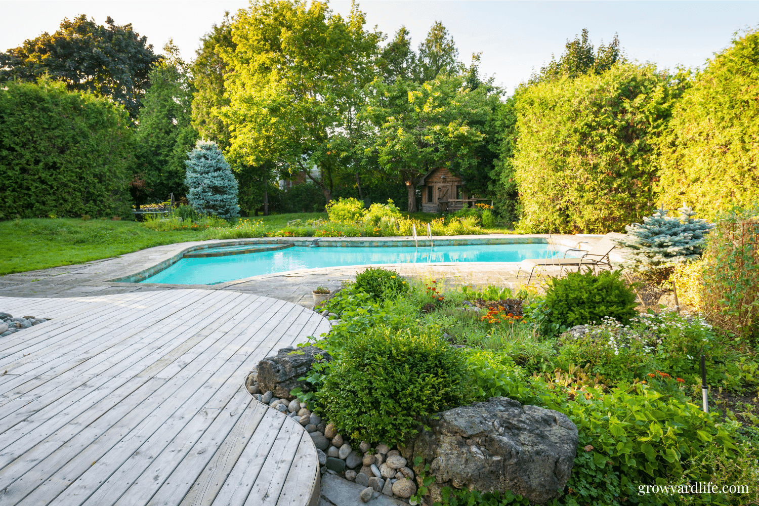 12 Poolside Garden Ideas That Feel Like a Private Oasis