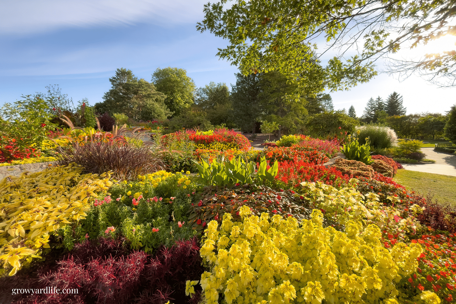 How to Master Fall Container Gardening: Essential Tips for Stunning Displays