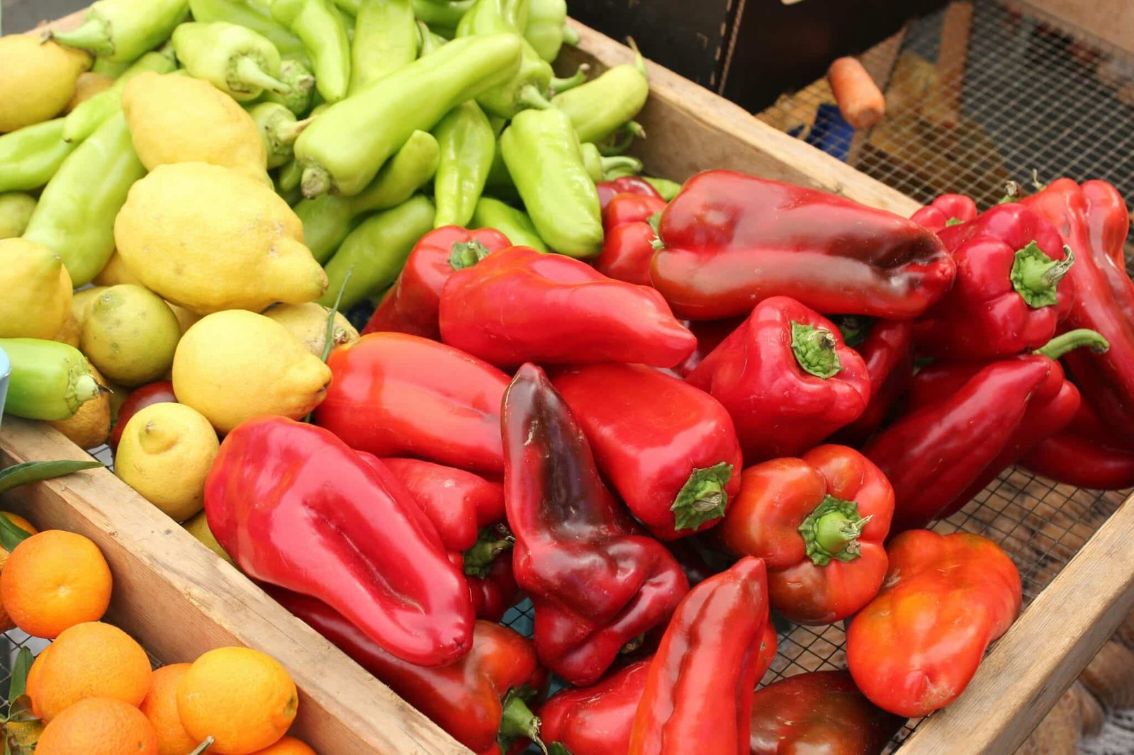 How to Fertilize Pepper Plants: Boost Soil Health for Improved Yields