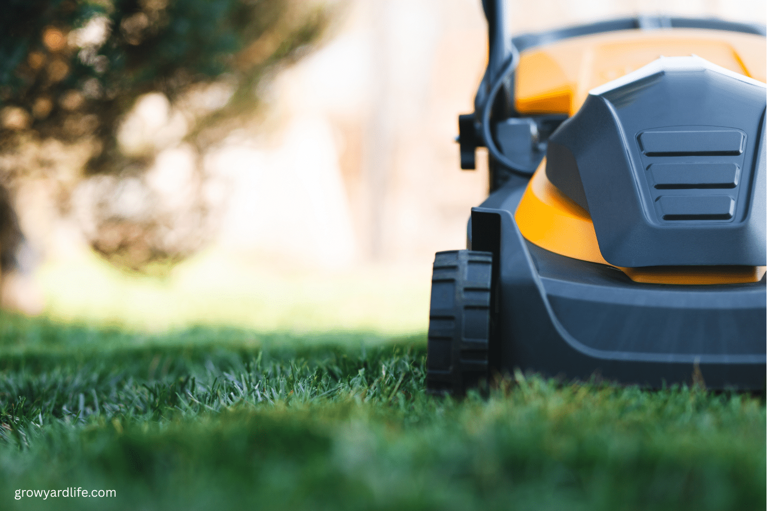 The Ultimate Garden Gear Roundup: Best Cordless Tools for Effortless Yard Work in 2025