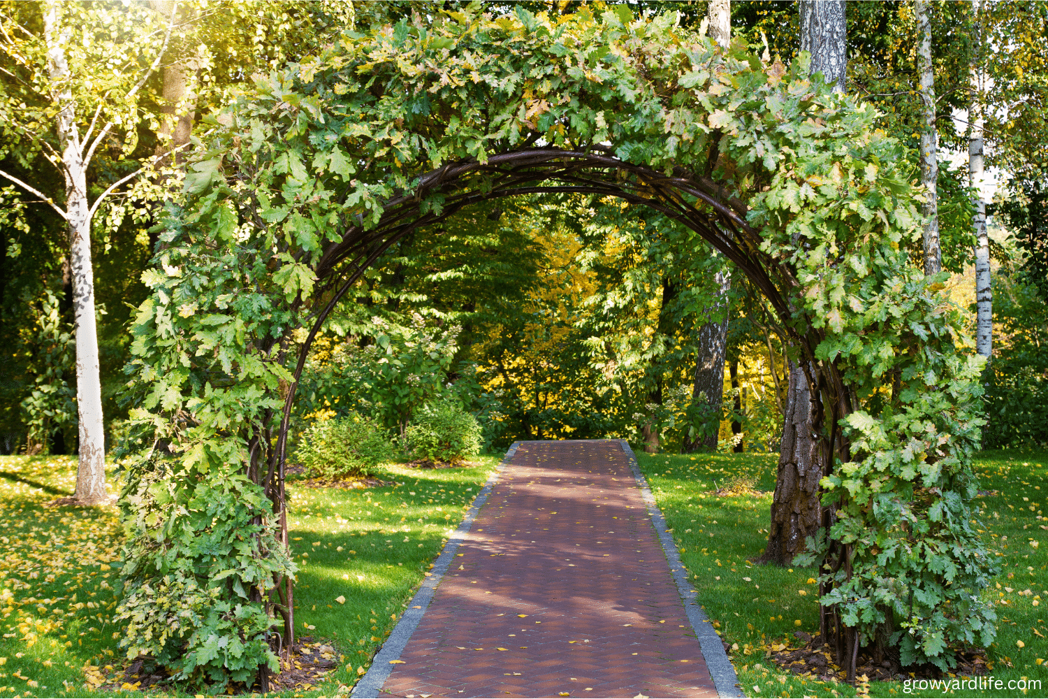 10 Easy Garden Projects: Build Arches and Trellises in Just One Weekend!